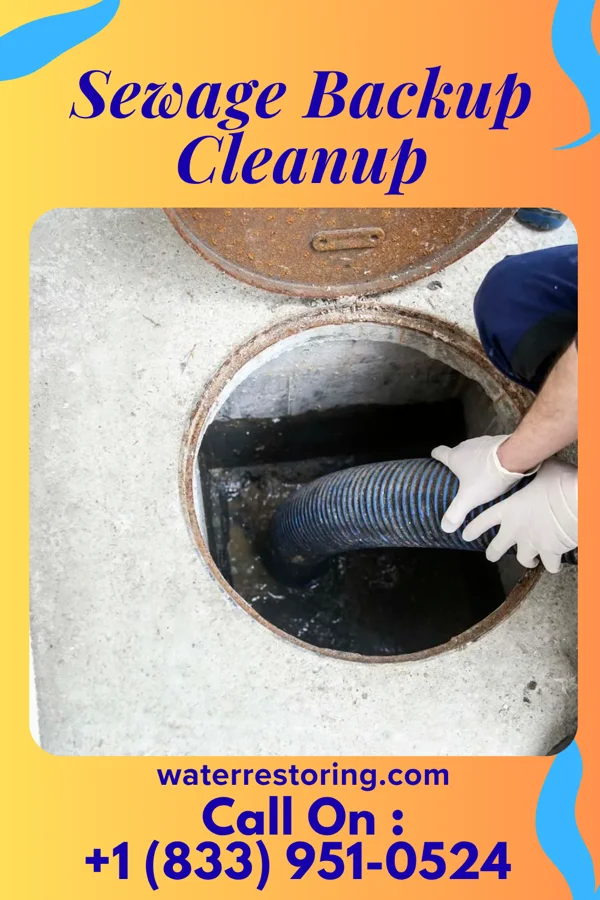 Sewage Backup Cleanup in Beaver Dam, WI